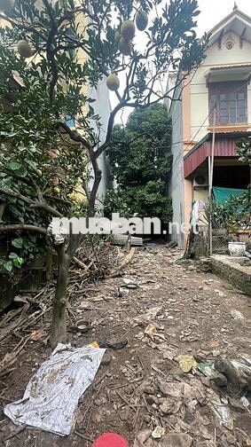 Đất Hiếm đầu tư -  pháp lý rõ ràng- Nở Hậu ô tô đỗ cửa - Chủ thiện chí