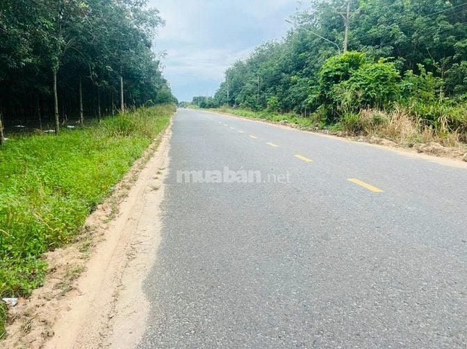 Mặt tiền DT749B chỉ 750 triệu sở hữu ngay