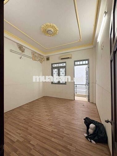 Cho thuê nhà diện tích to đùng Gò Vấp