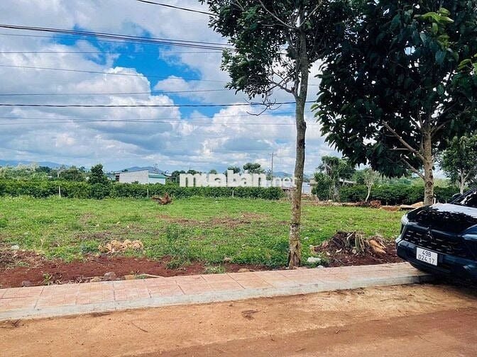 🏡 BÁN ĐẤT ĐẸP TẠI XÃ TÂN HỘI, ĐỨC TRỌNG – LÂM ĐỒNG (Trước là N’Thon Hạ