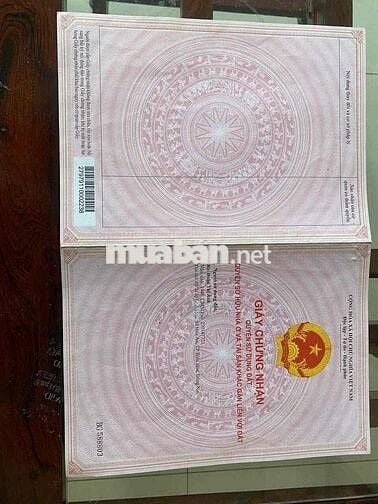 cam kết rẻ nhất thị trường do mua đất 2011