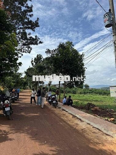 🏡 BÁN ĐẤT ĐẸP TẠI XÃ TÂN HỘI, ĐỨC TRỌNG – LÂM ĐỒNG (Trước là N’Thon Hạ