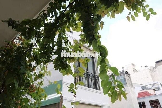 Cho Thuê Nhà Đường Nguyễn Trãi, Quận 1 ( 7PN, 7WC - CHDV - Homestay )