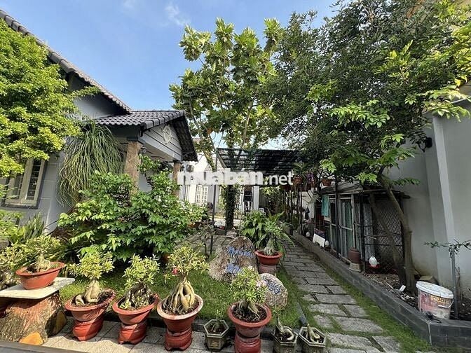 CHÍNH CHỦ BÁN BIỆT THỰ VƯỜN GIÁ 20ty ( có thương lượng )