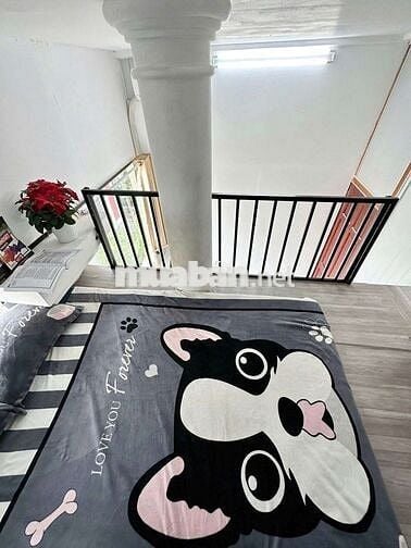 Trọ: 4trx Phú Nhuận gác cao 1m8