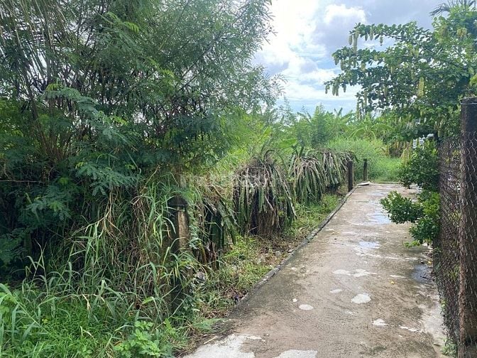 Công ty Đấu giá hợp danh Sao Việt 