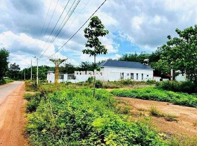 Bán đất thổ cư cách q14 1km có sổ sẵn