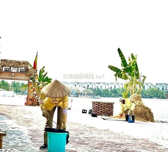 chính chủ cần bán căn hộ 2n+2vs diện tích 70m giá 4 tỷ 330tr tại VHOCB