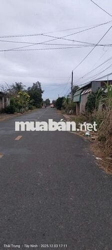 CẦN BÁN ĐẤT CHÍNH CHỦ – ẤP ĐÔNG LỢI, XÃ TÂN ĐÔNG, TÂN CHÂU, TÂY NINH