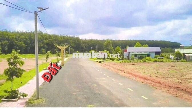 Bán đất thổ cư cách q14 1km có sổ sẵn