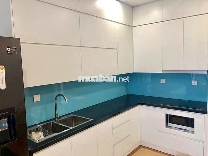 cần bán nhanh căn hộ 1ng+,1vs giá 3tỷ100tr diện tích 47m2 tại VHOCP