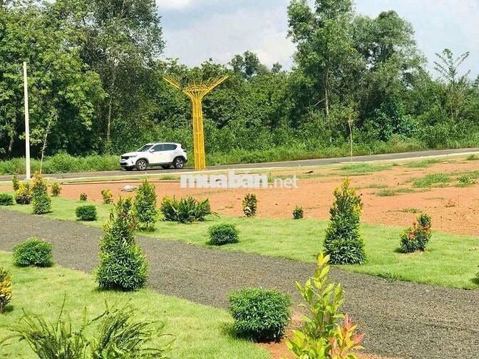 Bán đất thổ cư cách q14 1km có sổ sẵn