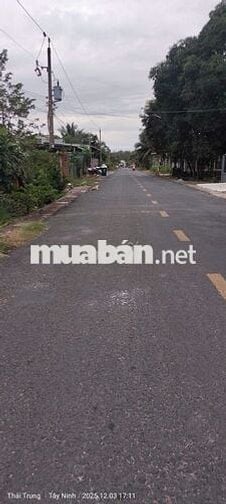 CẦN BÁN ĐẤT CHÍNH CHỦ – ẤP ĐÔNG LỢI, XÃ TÂN ĐÔNG, TÂN CHÂU, TÂY NINH