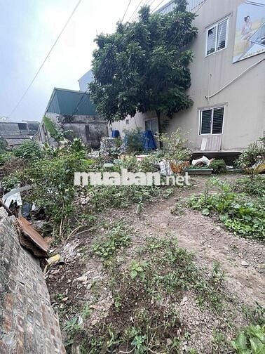 đất lành long biên giá cực tốt - mua ở hay đầu tư rất ok