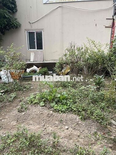 đất lành long biên giá cực tốt - mua ở hay đầu tư rất ok