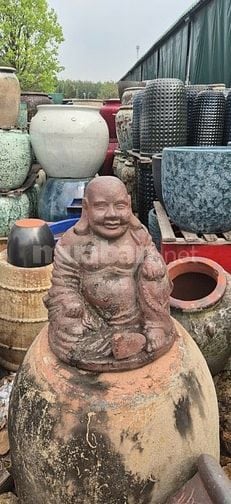 chậu gốm cây cảnh trồng sân vườn, văn phòng