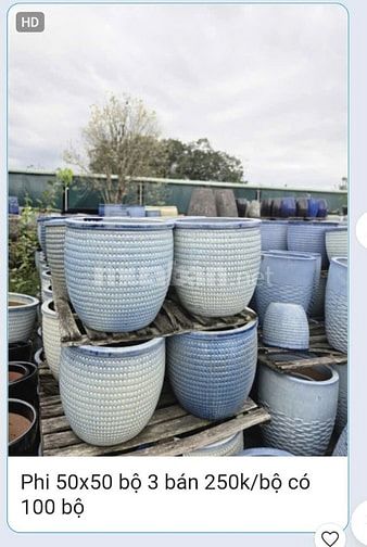 chậu gốm cây cảnh trồng sân vườn, văn phòng