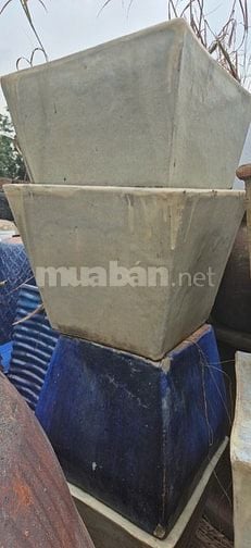 chậu gốm cây cảnh trồng sân vườn, văn phòng