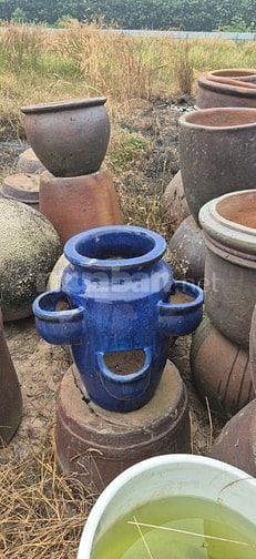 chậu gốm cây cảnh trồng sân vườn, văn phòng