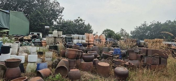 chậu gốm cây cảnh trồng sân vườn, văn phòng