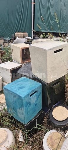 chậu gốm cây cảnh trồng sân vườn, văn phòng