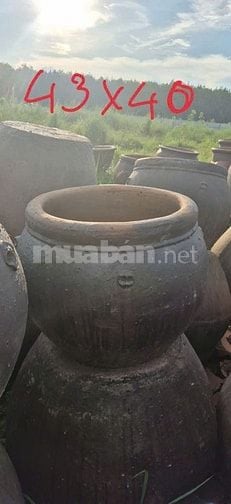 chậu gốm cây cảnh trồng sân vườn, văn phòng