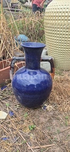 chậu gốm cây cảnh trồng sân vườn, văn phòng