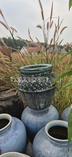chậu gốm cây cảnh trồng sân vườn, văn phòng