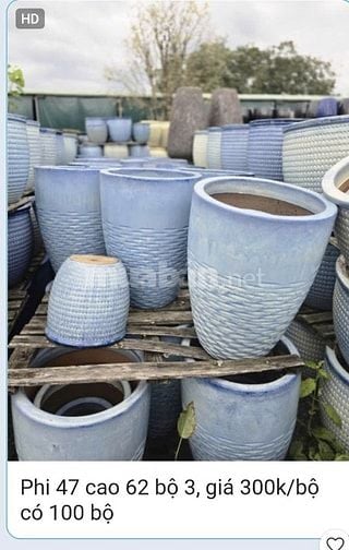 chậu gốm cây cảnh trồng sân vườn, văn phòng