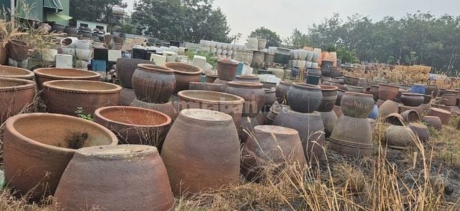 chậu gốm cây cảnh trồng sân vườn, văn phòng