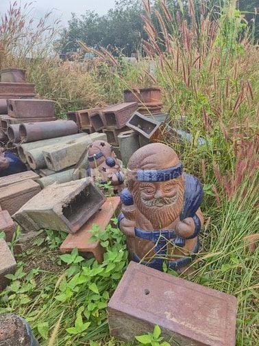 chậu gốm cây cảnh trồng sân vườn, văn phòng