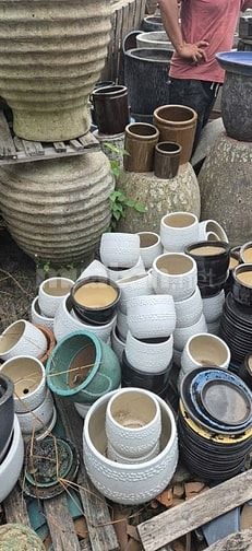 chậu gốm cây cảnh trồng sân vườn, văn phòng