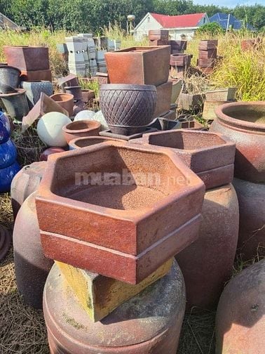 chậu gốm cây cảnh trồng sân vườn, văn phòng