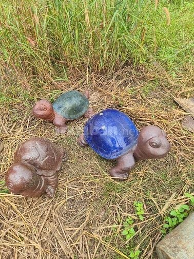 chậu gốm cây cảnh trồng sân vườn, văn phòng