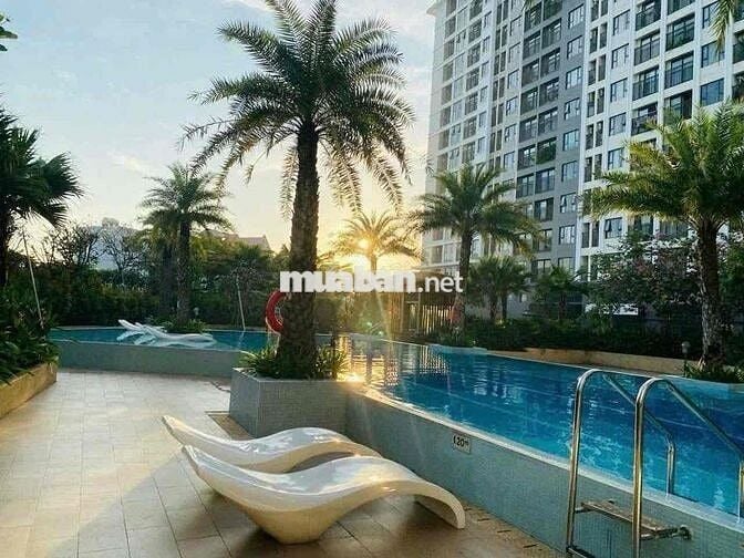 CHO THUÊ CĂN HỘ CAO CẤP PICITY High Park Q12