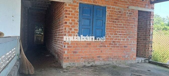 Cho thuê 2 căn nhà cấp 4- 200m2 - Lộc An - 3tr500