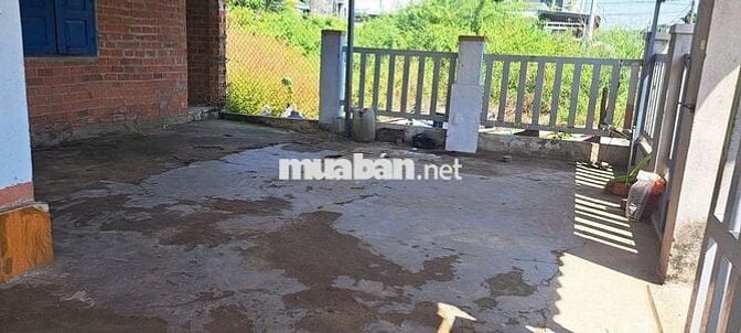 Cho thuê 2 căn nhà cấp 4- 200m2 - Lộc An - 3tr500