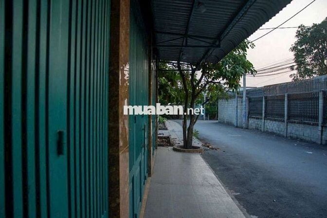 Bán dãy trọ đang thu nhập rất  cao Tân Thạnh Đông Củ Chi (cũ)