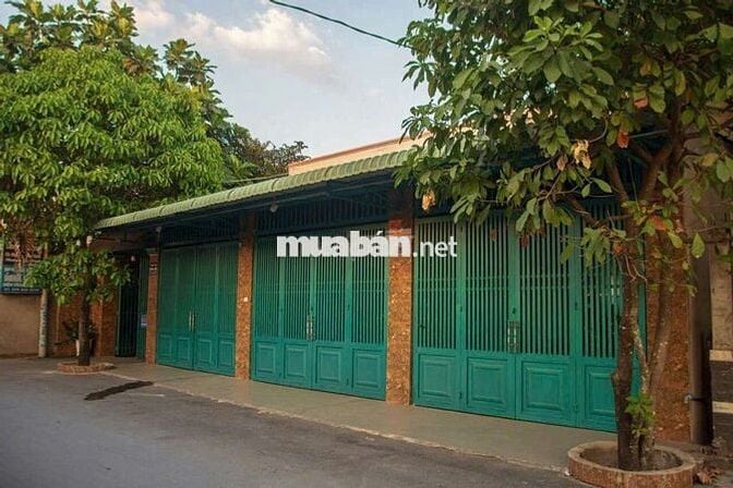 Bán dãy trọ đang thu nhập rất  cao Tân Thạnh Đông Củ Chi (cũ)