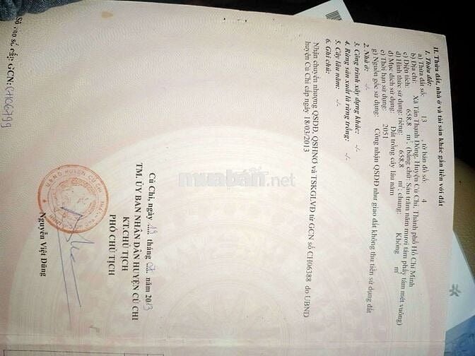 Bán Dãy trọ cho thu nhập rất cao ở Tân Thạnh Đông Củ Chi (cũ)