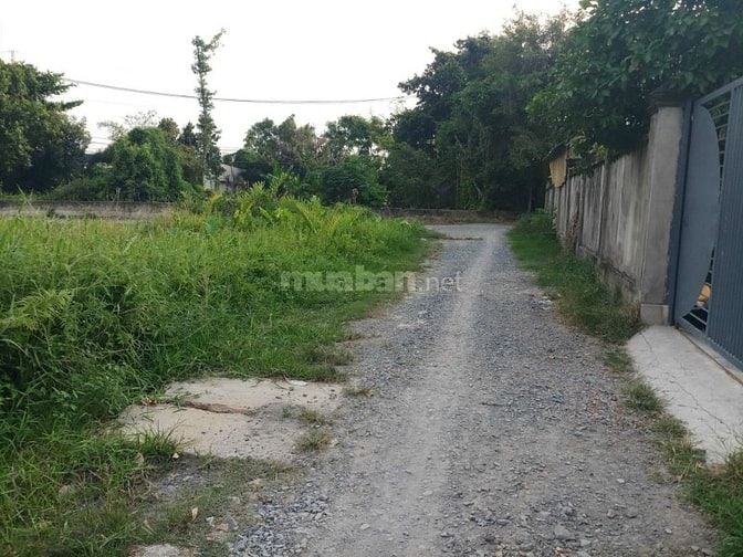 Đất ở Đường Bình Mỹ, xã Bình Mỹ, Huyện củ Chi cần bán gấp để về quê 