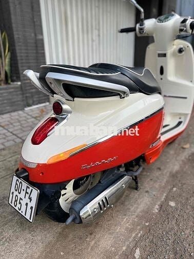 Peugeoot Django 2022