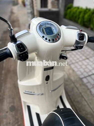 Peugeoot Django 2022