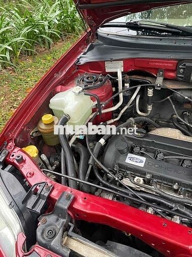 Ford Escape 2005 2.3 Đỏ