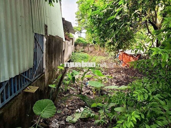 Bán đất mặt tiền đg Nguyễn Thị Đặng Tân Thạnh Đông huyện Củ Chi (cũ)