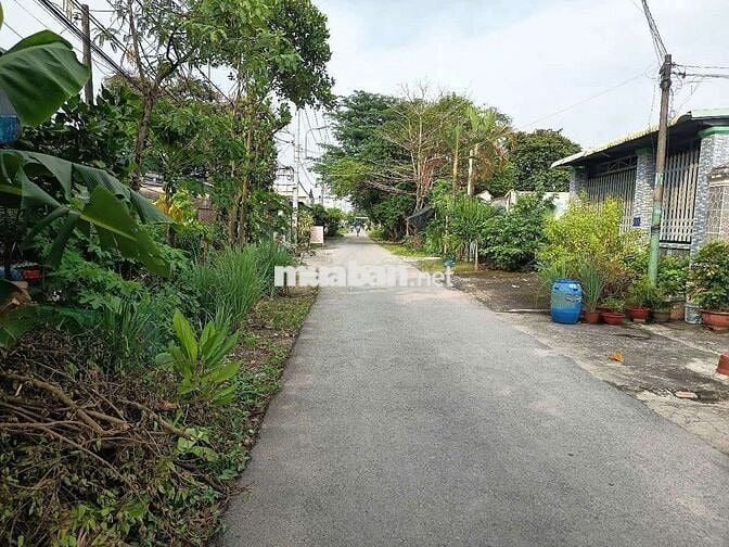 Bán đất mặt tiền đg Nguyễn Thị Đặng Tân Thạnh Đông huyện Củ Chi (cũ)