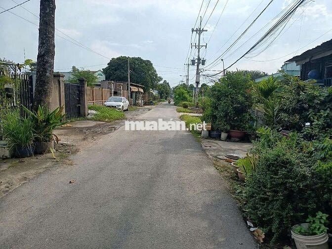 Bán đất mặt tiền đg Nguyễn Thị Đặng Tân Thạnh Đông huyện Củ Chi (cũ)
