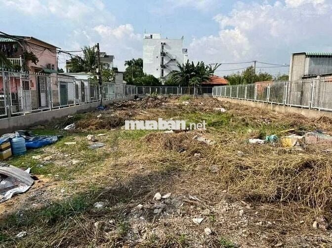 Bán đất 10x48 Cây Trôm , Phước Hiệp – SHR, tỷ 780tr, ở & đầu tư tốt