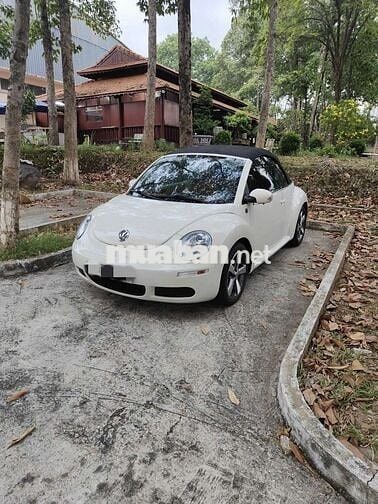 Volkswagen New Beetle mui trần