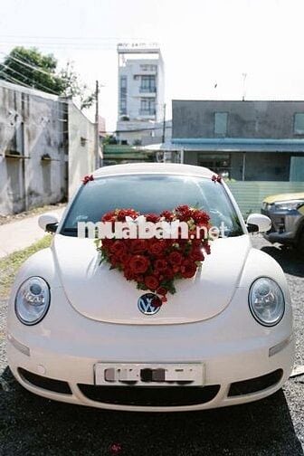 Volkswagen New Beetle mui trần